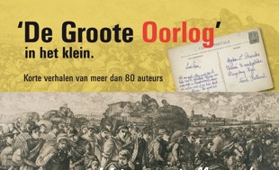 Boek de grote oorlog in het klein